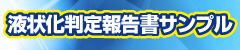 液状化判定報告書サンプル